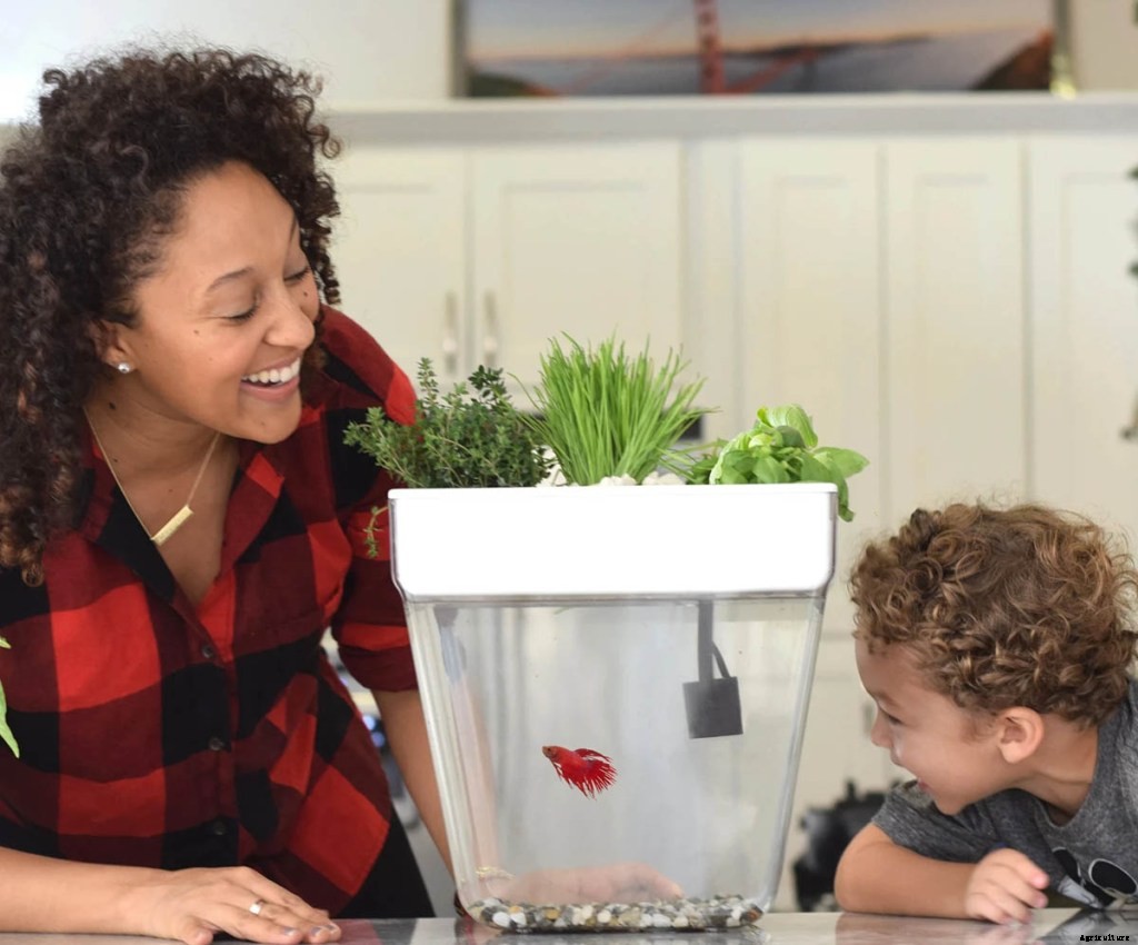 The Best Gifts for Gardeners of Every Level and Lifestyle