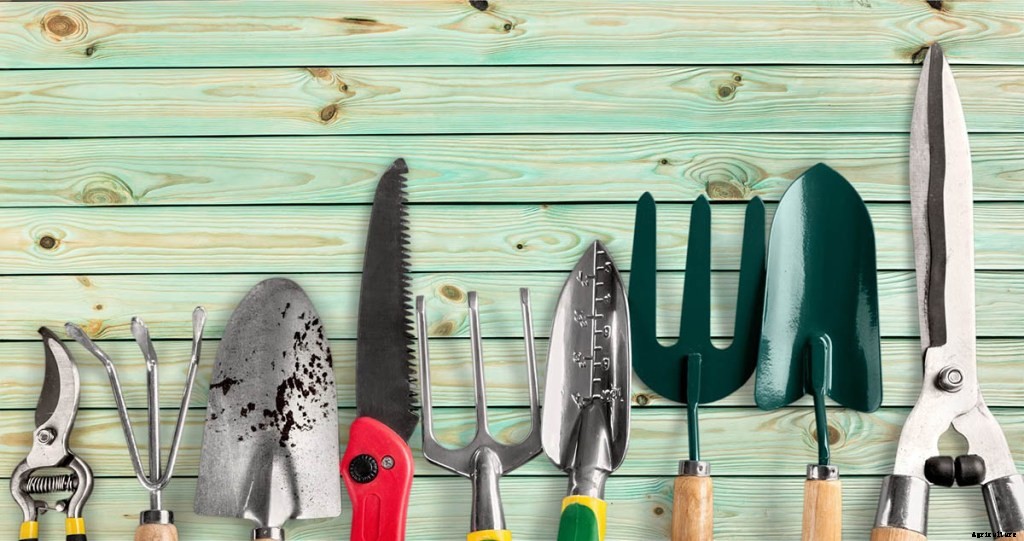 The Best Gifts for Gardeners of Every Level and Lifestyle