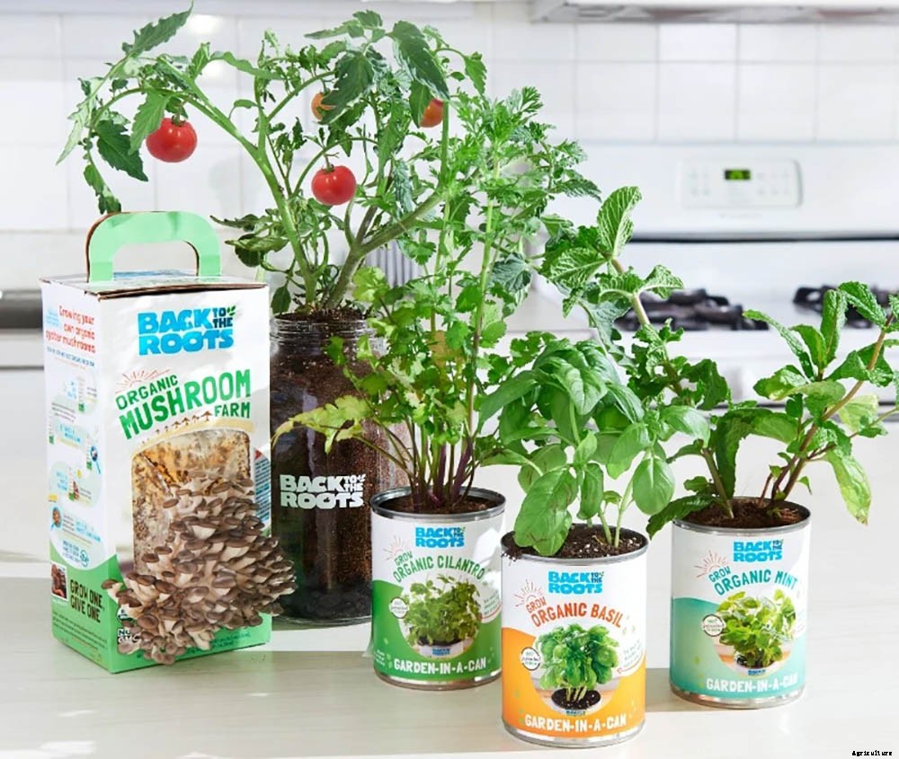 The Best Gifts for Gardeners of Every Level and Lifestyle