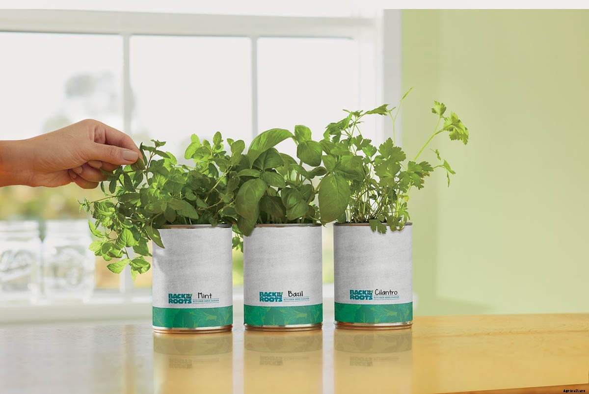 10 Hacks To Get the Most of Your Walmart Garden Center