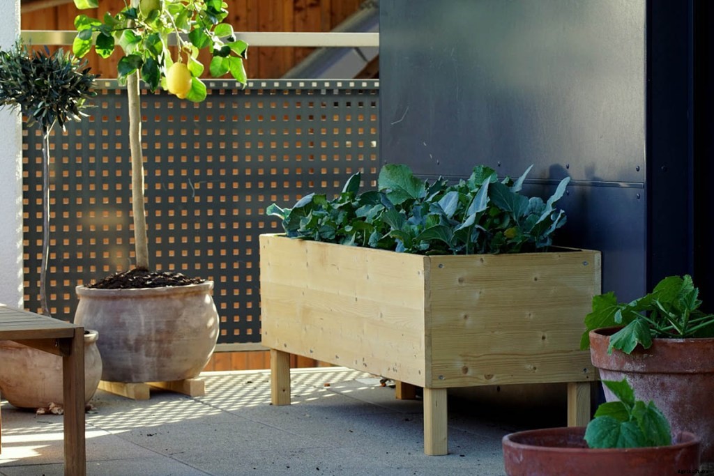 10 Hacks To Get the Most of Your Walmart Garden Center