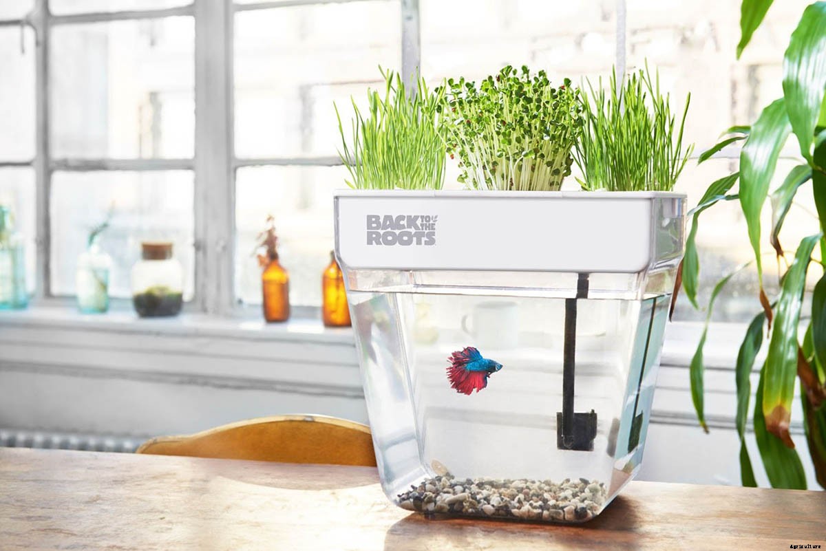 10 Hacks To Get the Most of Your Walmart Garden Center