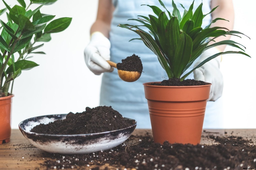 Organic Potting Soil: Why It’s Better and What To Look For