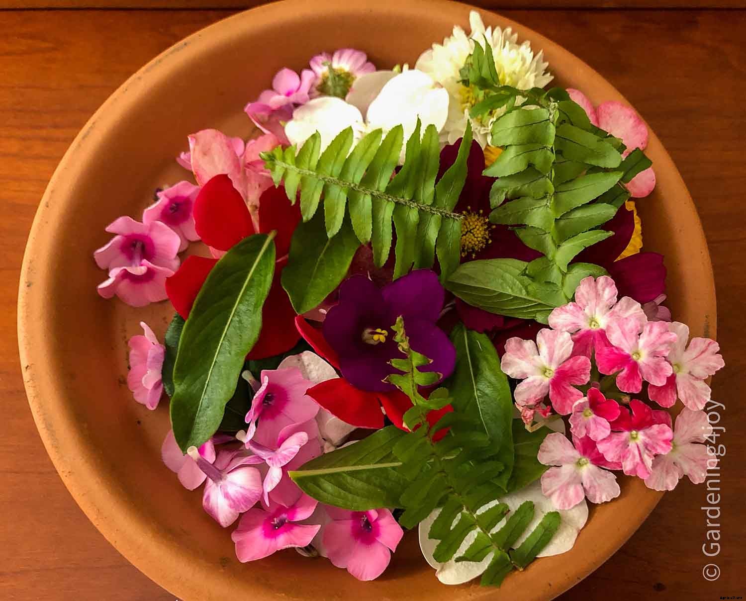 DIY:  Press flowers the old-fashioned way