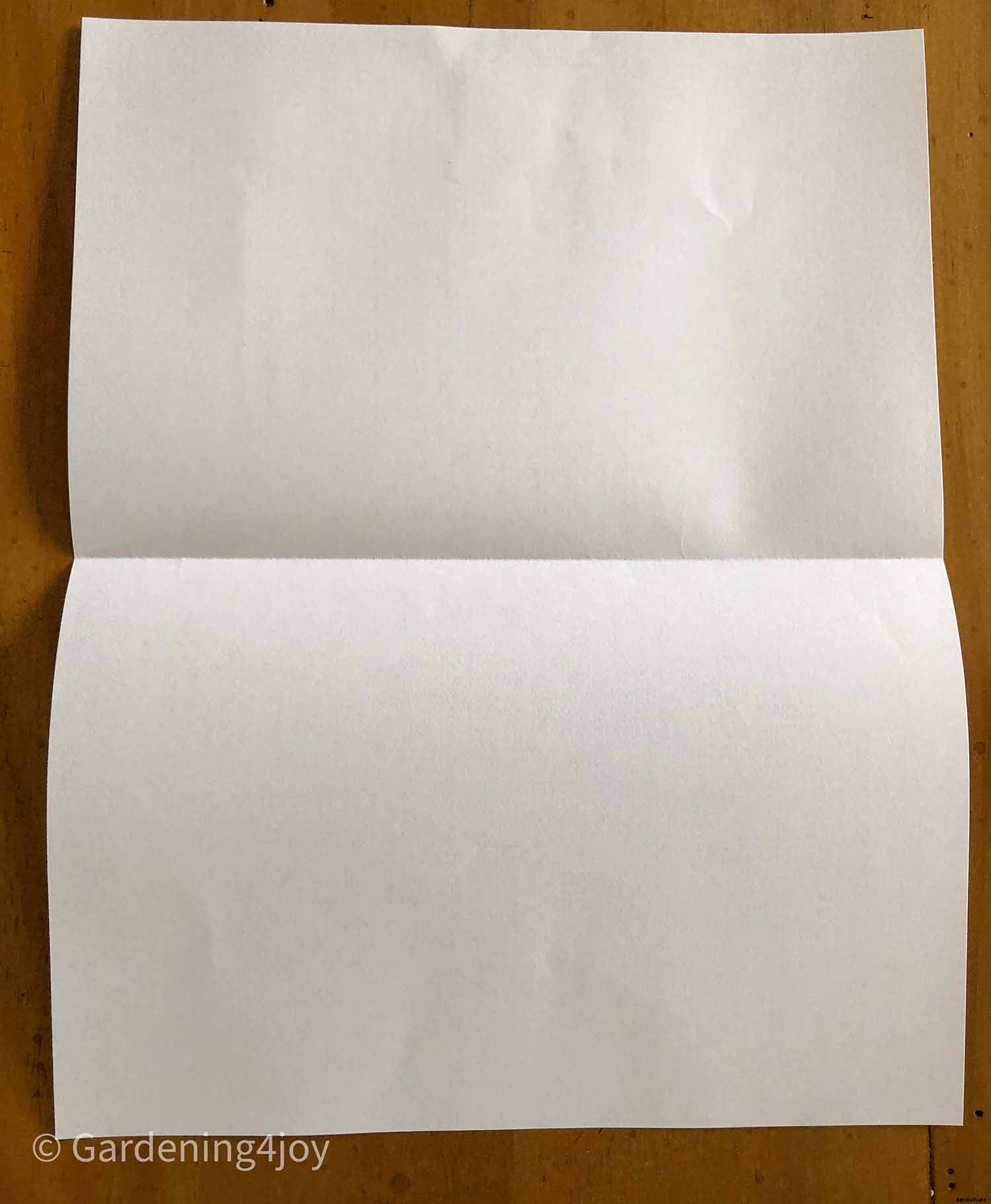 DIY:  Press flowers the old-fashioned way