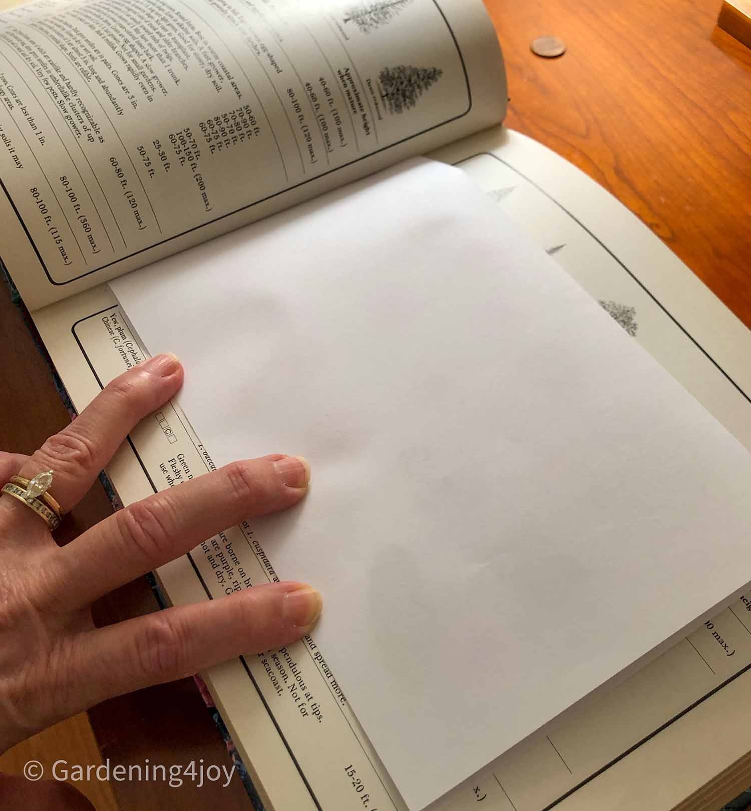 DIY:  Press flowers the old-fashioned way