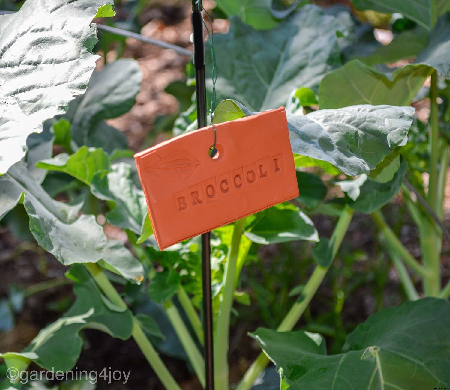 DIY Terra Cotta Garden Plant Labels