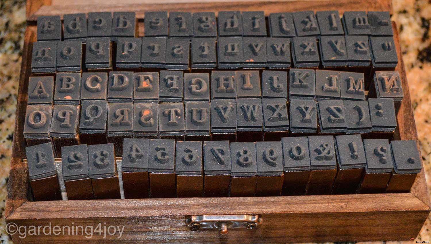 DIY Terra Cotta Garden Plant Labels