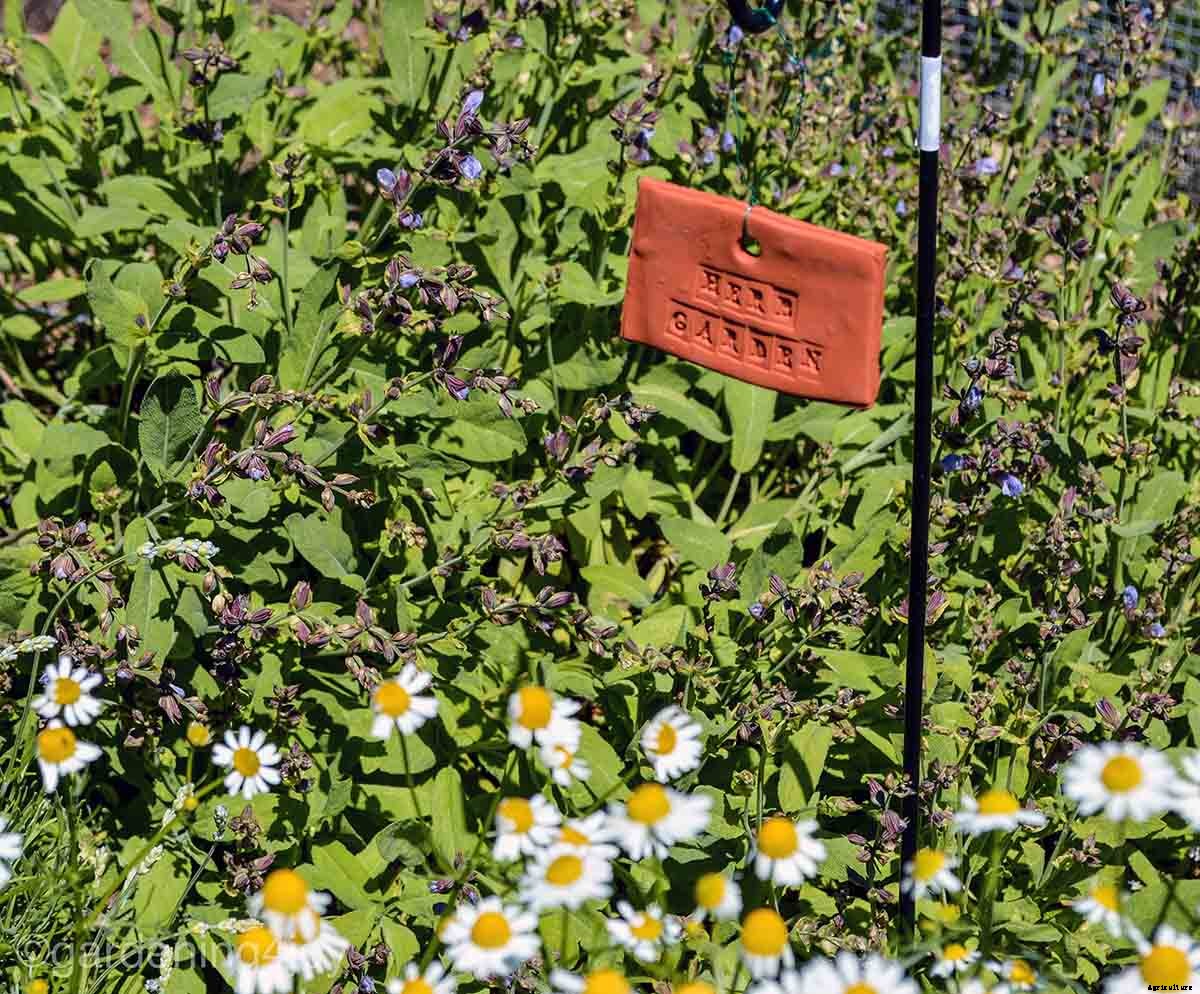 DIY Terra Cotta Garden Plant Labels
