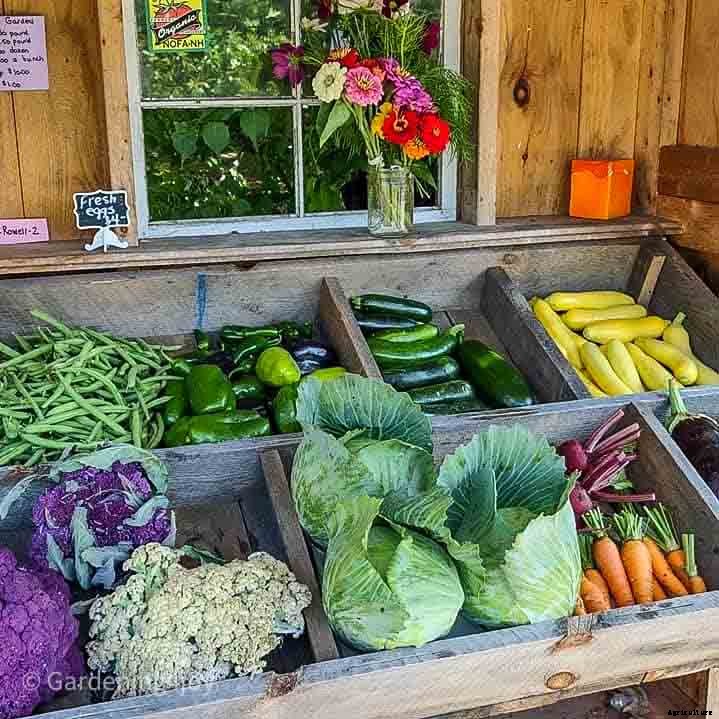A charming small-scale market garden, Brookstone Gardens