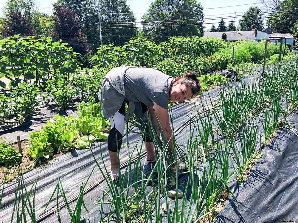 A charming small-scale market garden, Brookstone Gardens