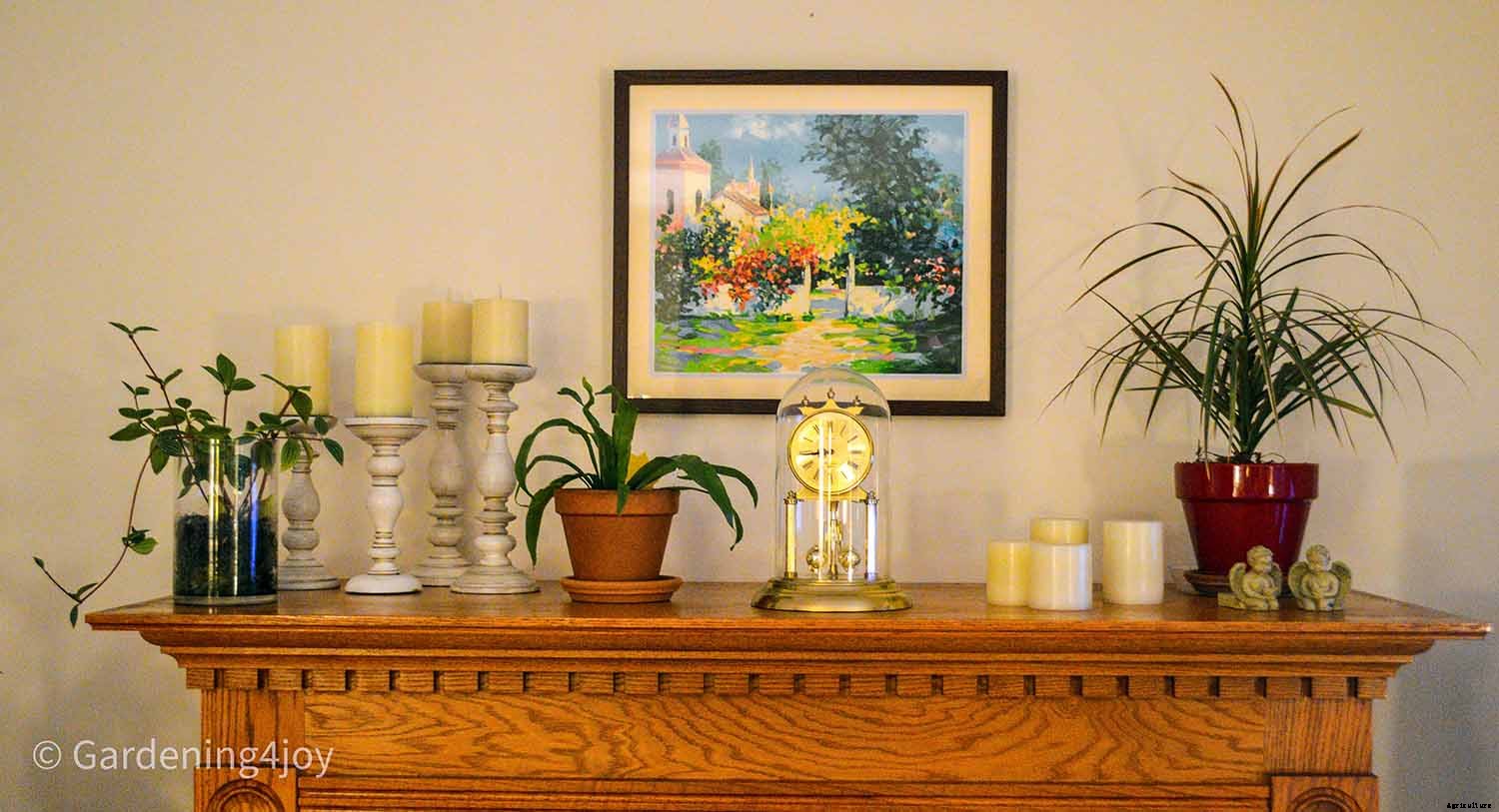 Seven Simple Styling Tips for Indoor Houseplants