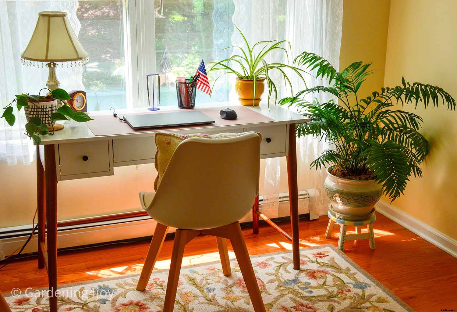 Seven Simple Styling Tips for Indoor Houseplants