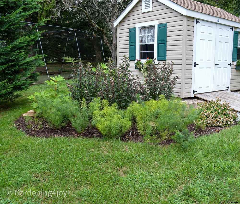 Brilliant method to create new garden beds: Lasagna Gardening