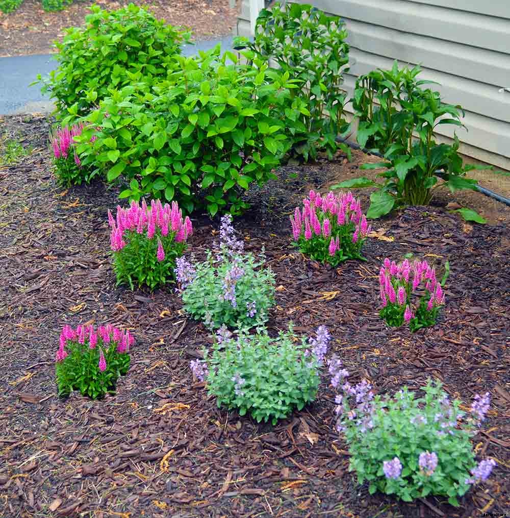 Brilliant method to create new garden beds: Lasagna Gardening