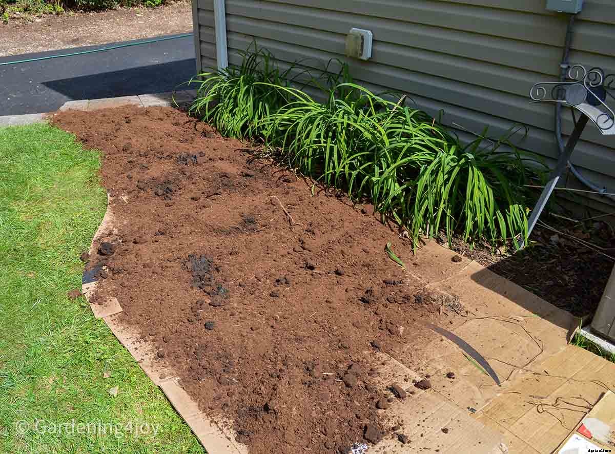 Brilliant method to create new garden beds: Lasagna Gardening