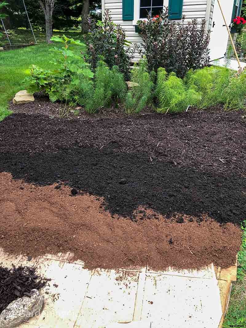 Brilliant method to create new garden beds: Lasagna Gardening