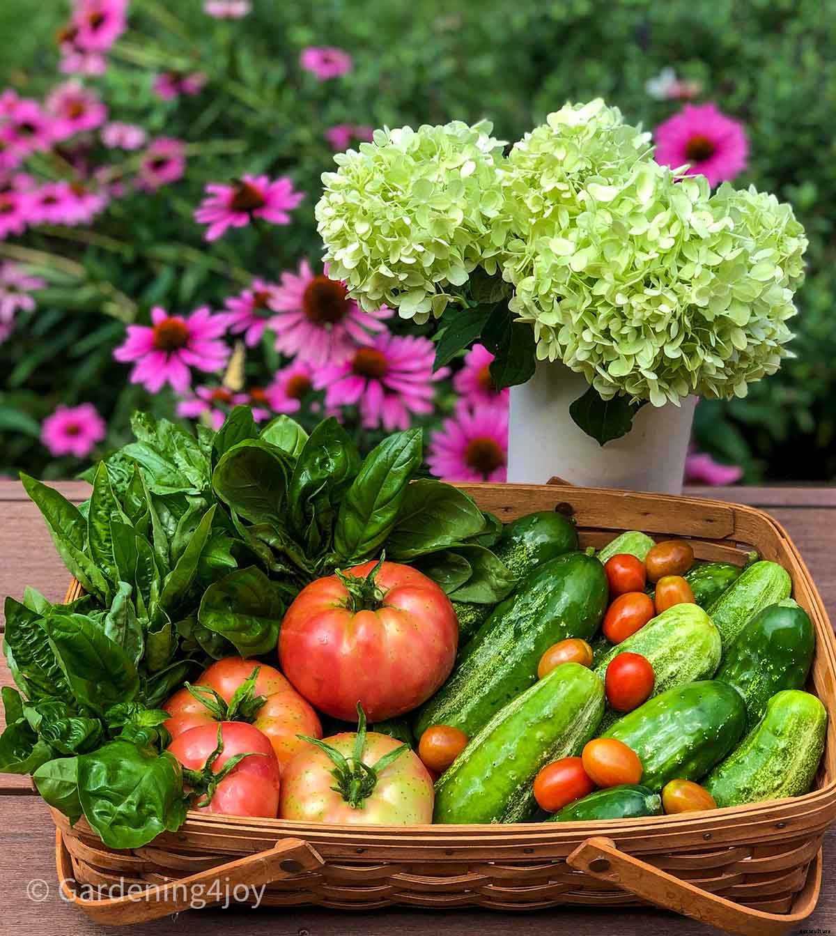 Creating and Maintaining an Organic Vegetable Garden – Part One