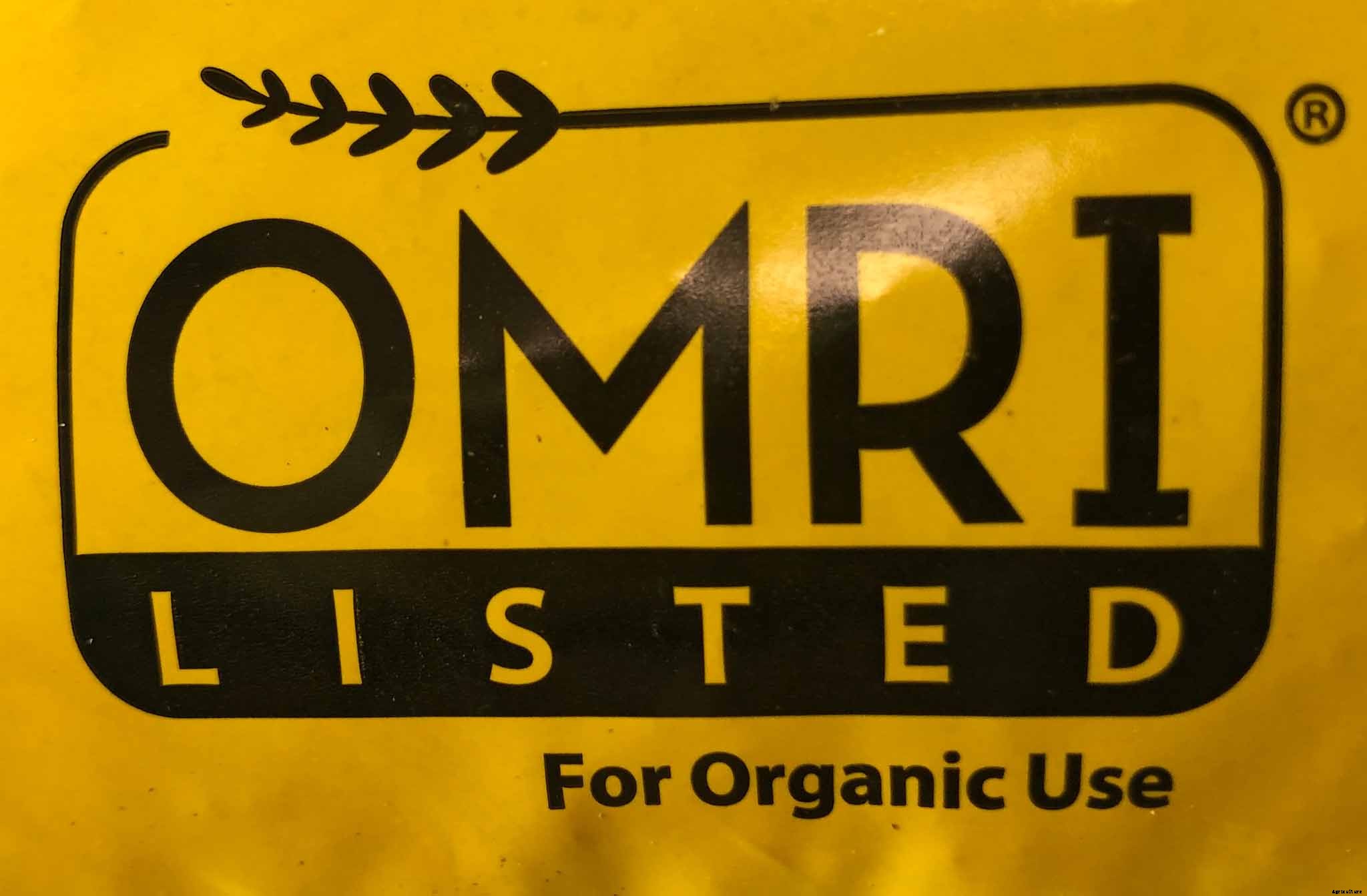 Creating and Maintaining an Organic Vegetable Garden – Part One