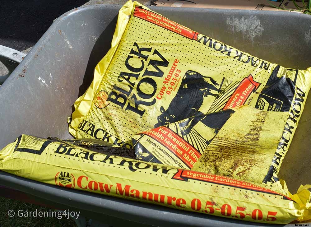 Creating and Maintaining an Organic Vegetable Garden – Part One