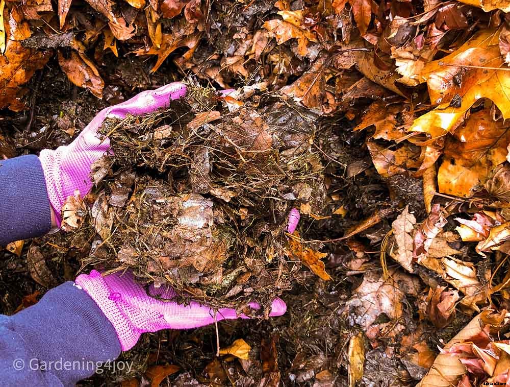 Creating and Maintaining an Organic Vegetable Garden – Part One