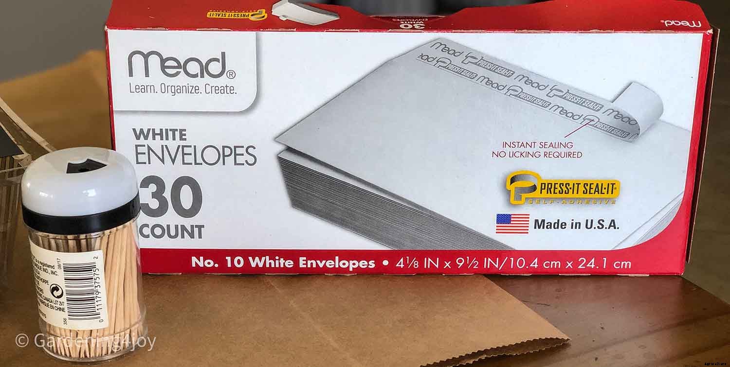 A super easy technique for seed planting