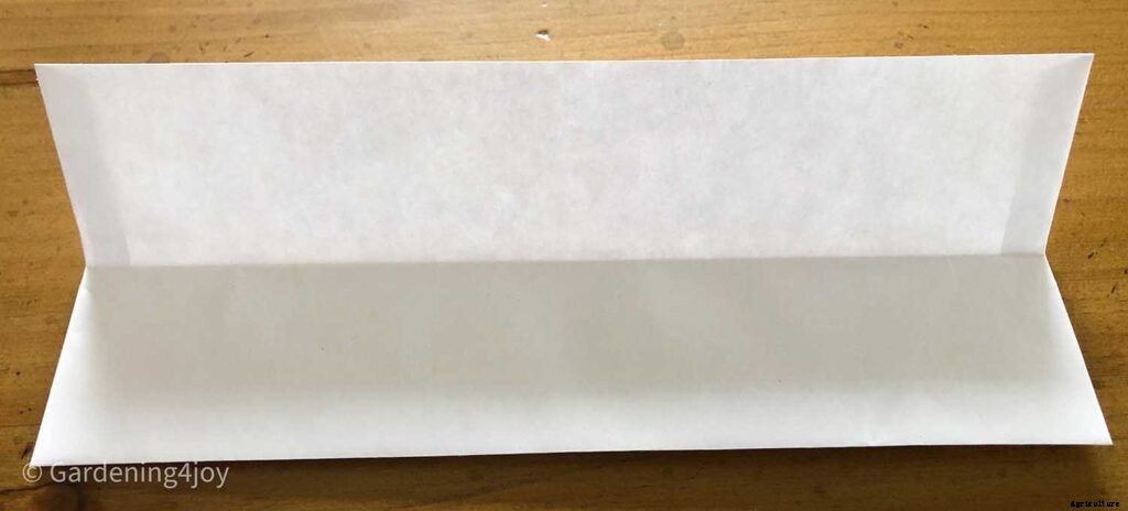 A super easy technique for seed planting