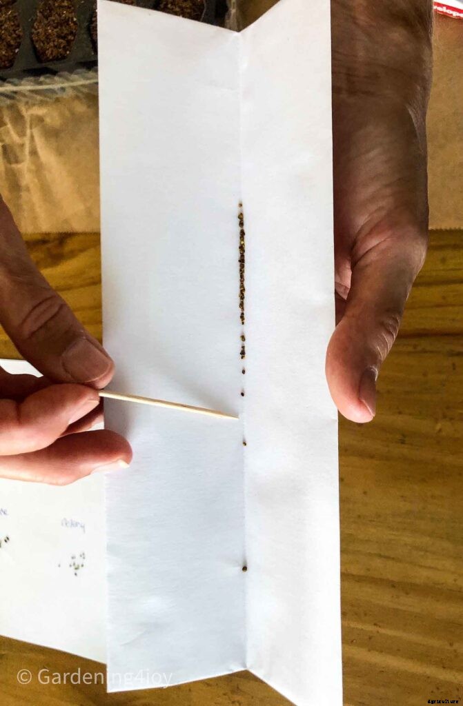 A super easy technique for seed planting