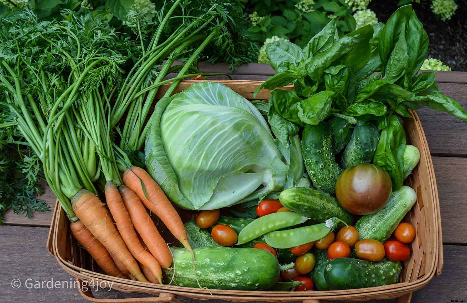 Life expectancy of vegetable and flower seeds