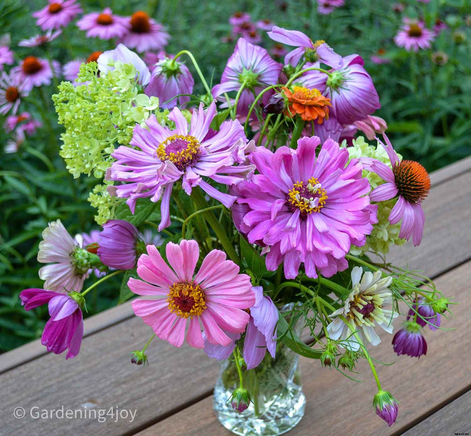 Life expectancy of vegetable and flower seeds