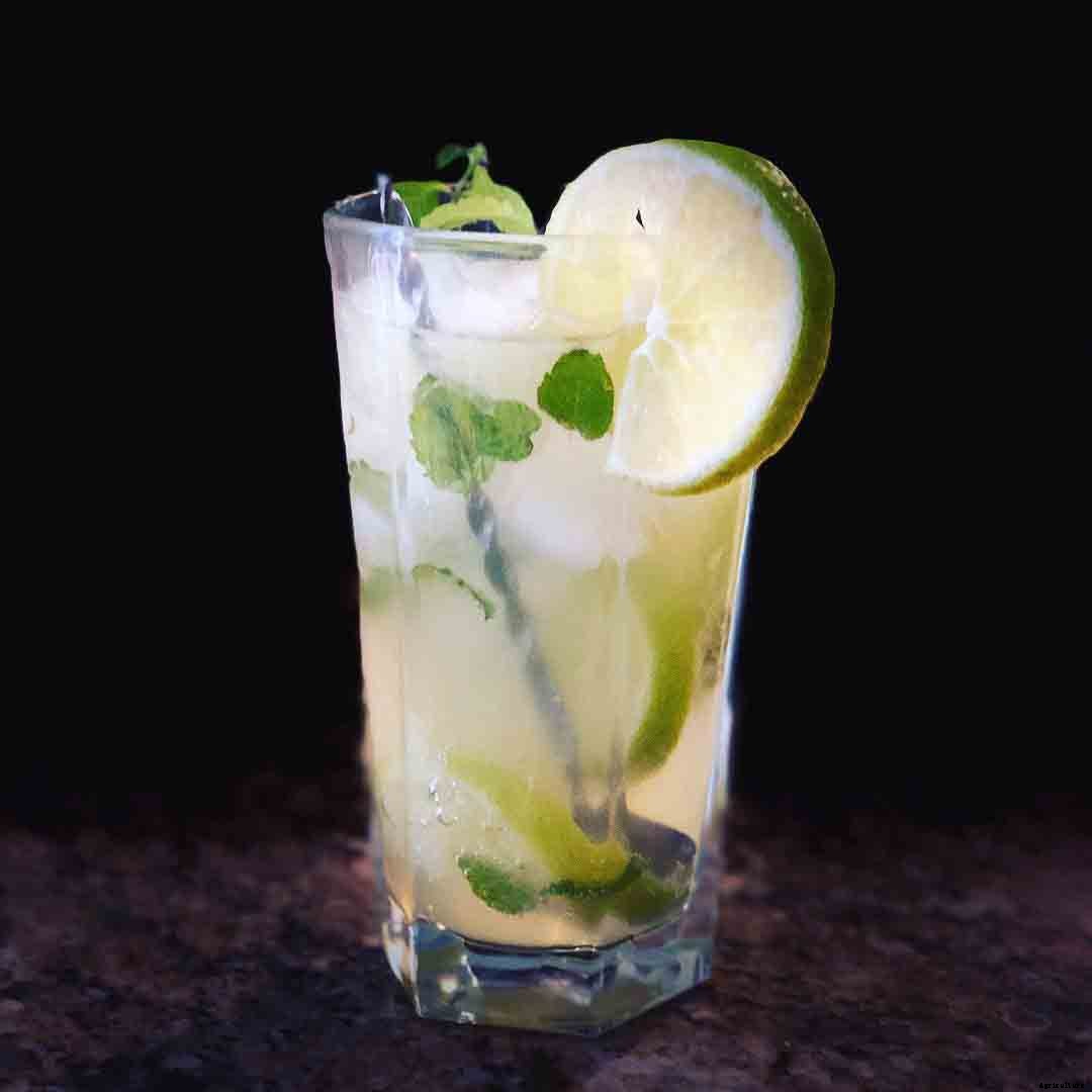 Growing Mint in containers is the best choice