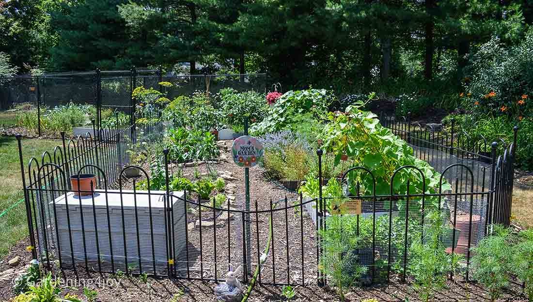 Install a Solar-powered Fence to keep Groundhogs out of the Garden