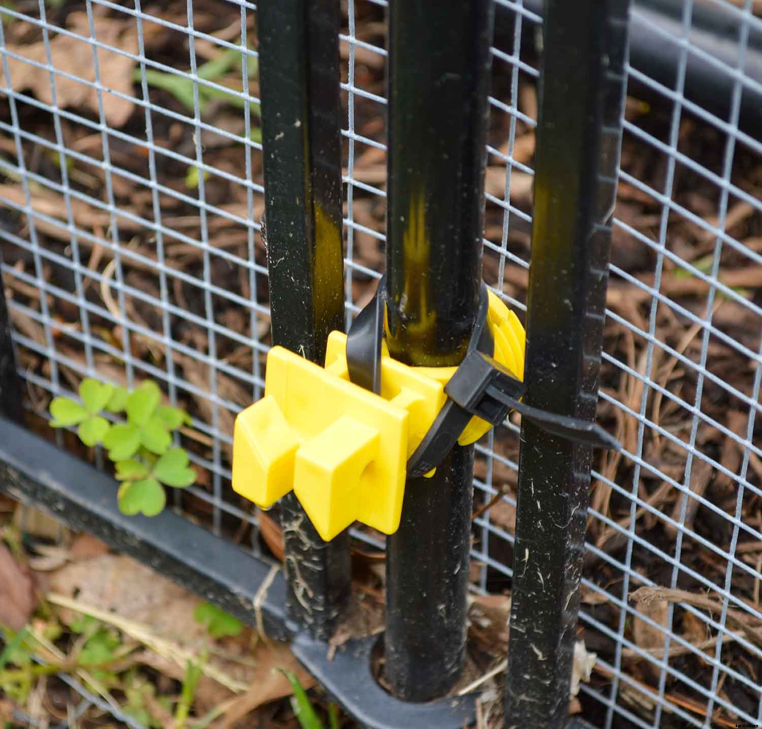 Install a Solar-powered Fence to keep Groundhogs out of the Garden