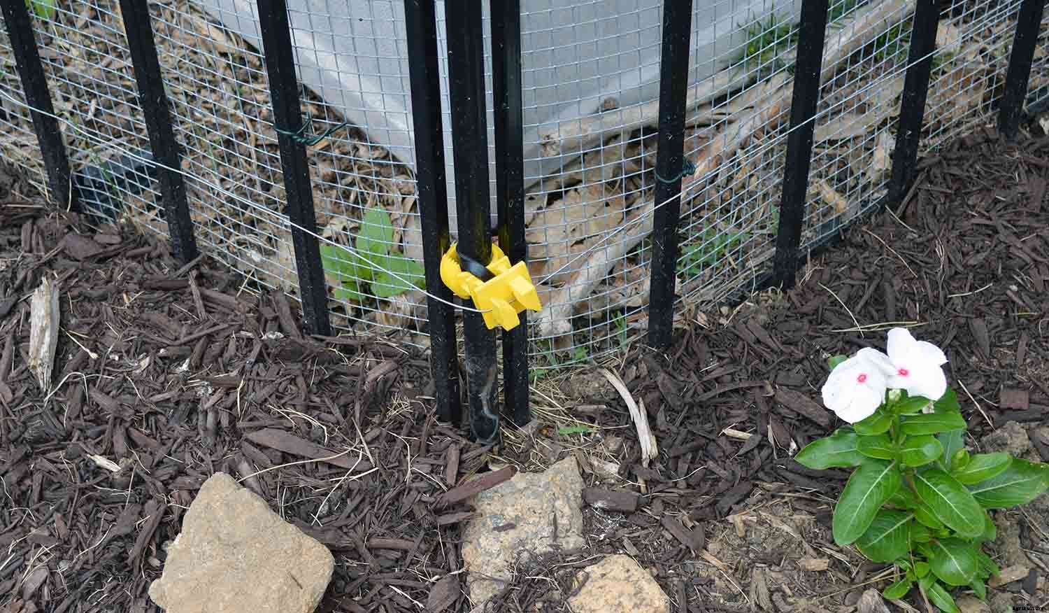 Install a Solar-powered Fence to keep Groundhogs out of the Garden