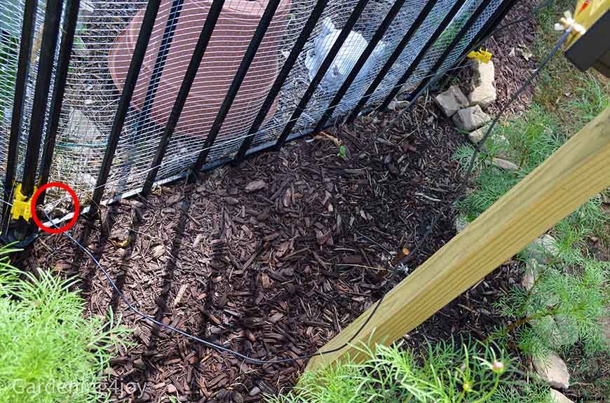 Install a Solar-powered Fence to keep Groundhogs out of the Garden