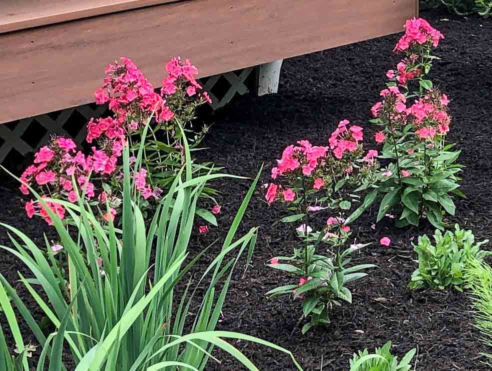 Importance of Native Plants