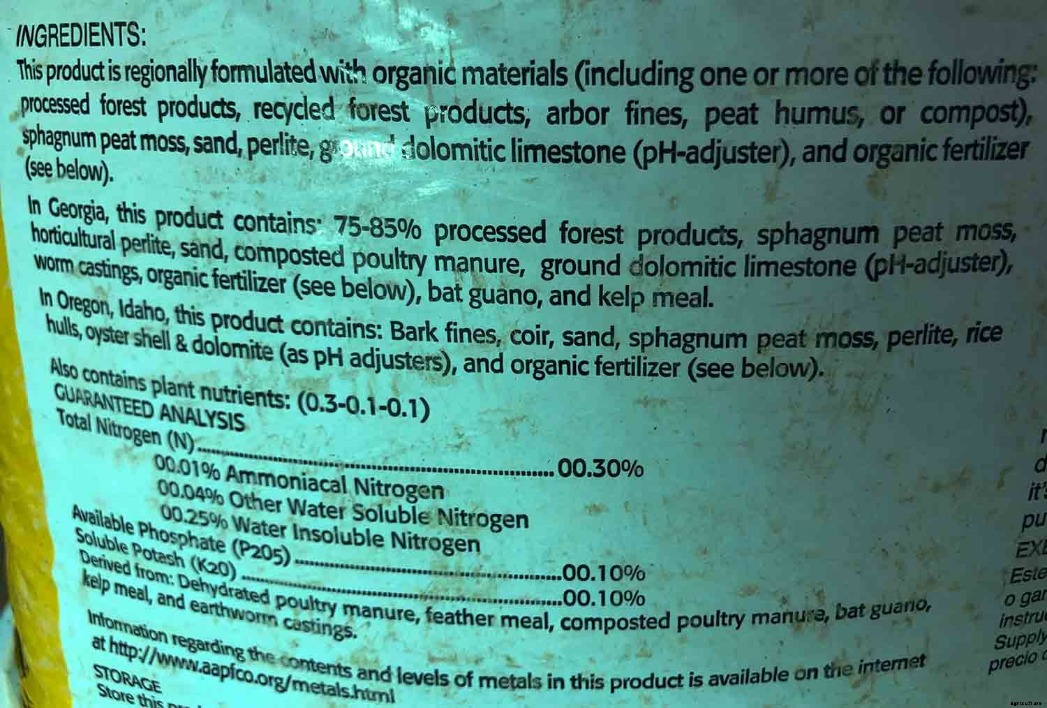 4 Easy Steps to Potting up Seedlings