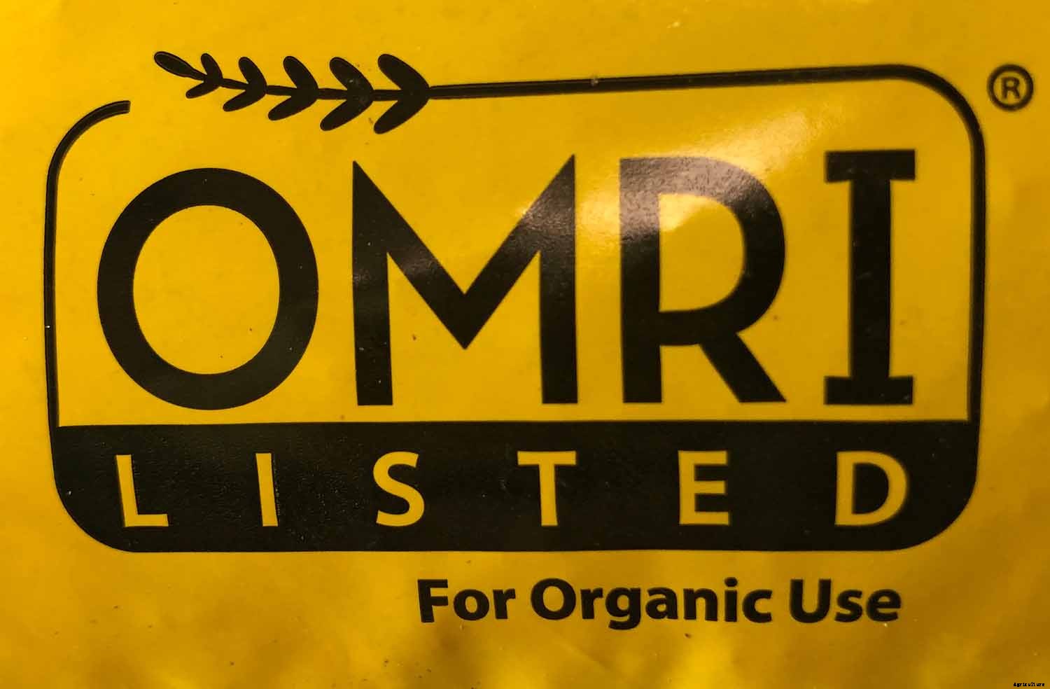 4 Easy Steps to Potting up Seedlings