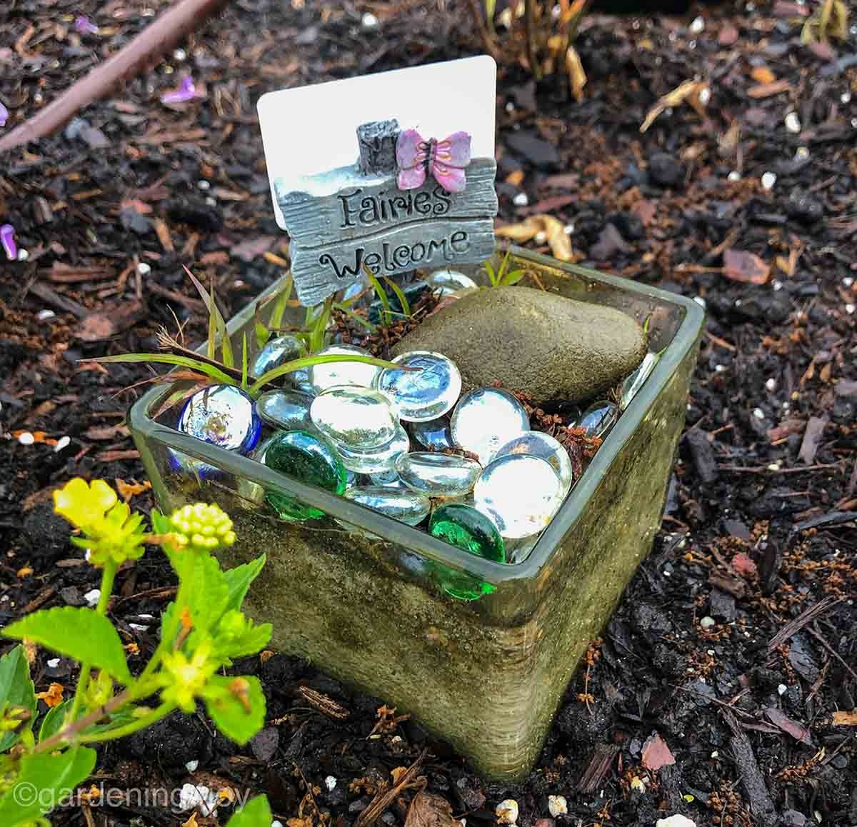 How to create a Monarch butterfly garden