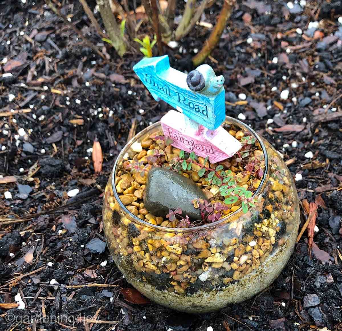 How to create a Monarch butterfly garden