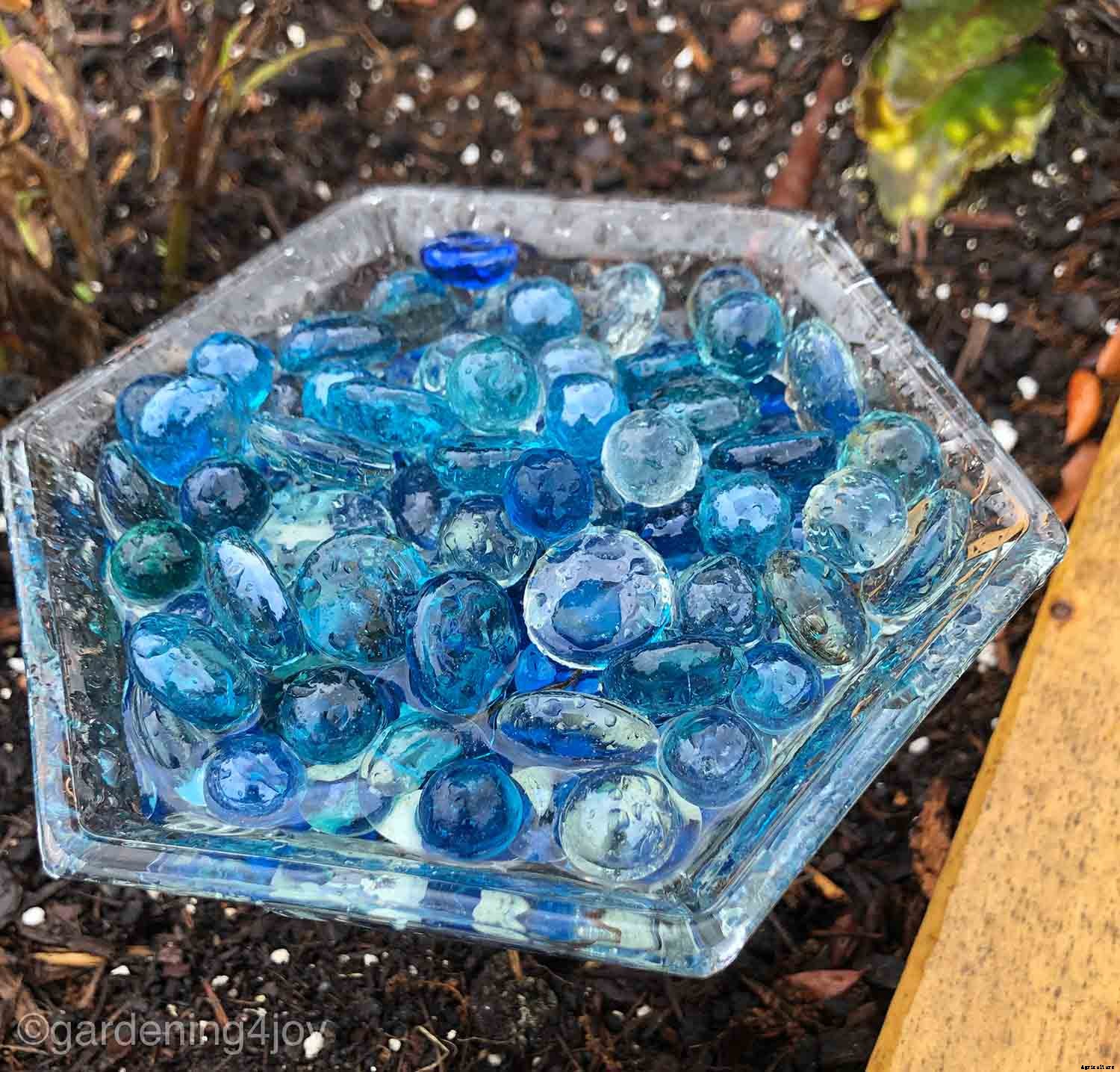 How to create a Monarch butterfly garden