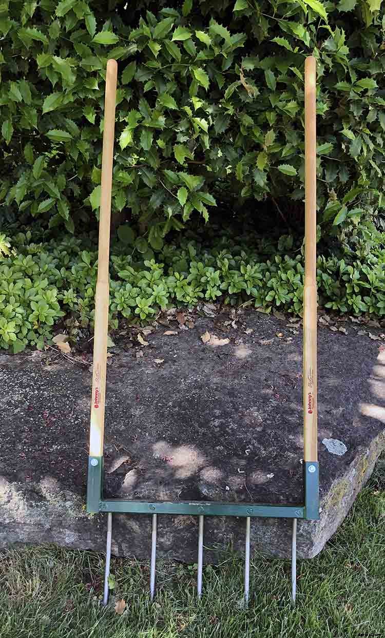 The joy of direct seeding vegetables