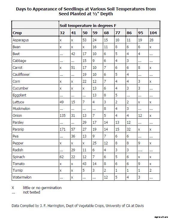 The joy of direct seeding vegetables