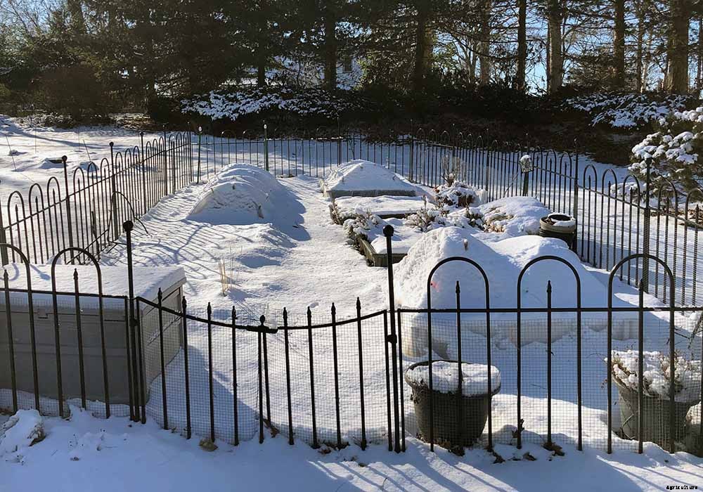 How to use floating row cover in your organic garden