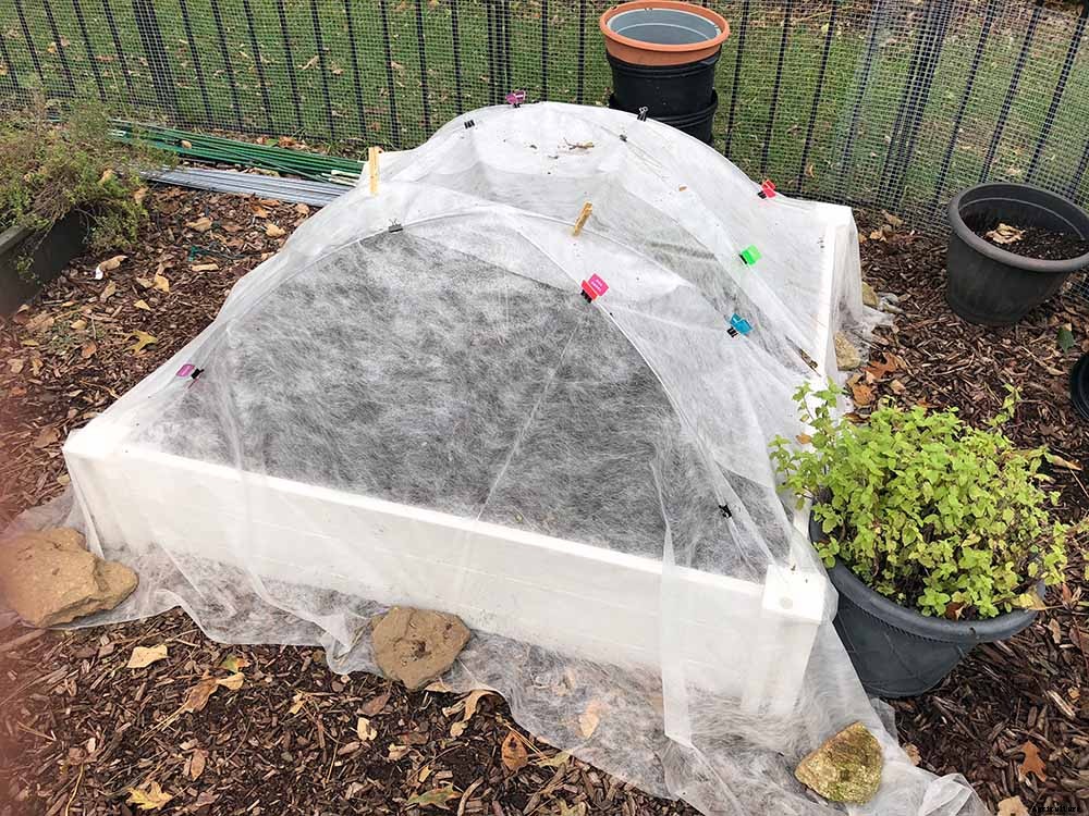 How to use floating row cover in your organic garden