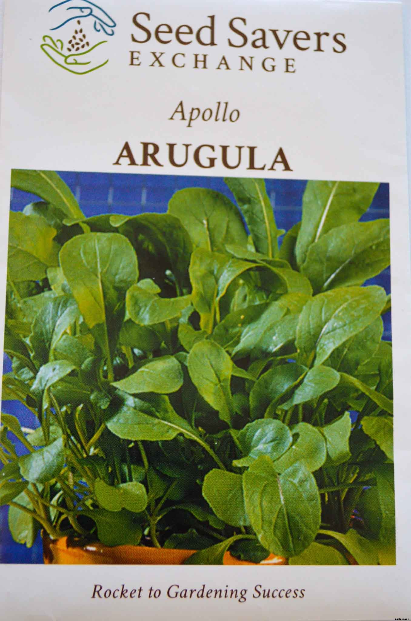 A simple guide to understanding information on seed packages