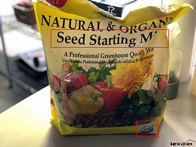 Getting started with seeds, 4 secrets for successful seed starting