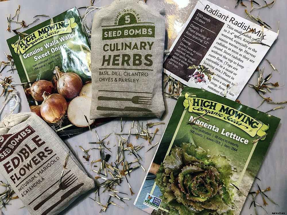 Getting started with seeds, 4 secrets for successful seed starting