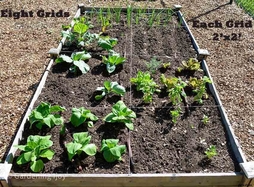 How to create a productive small vegetable garden