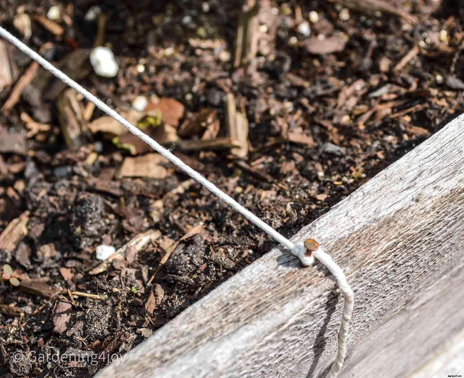 How to create a productive small vegetable garden